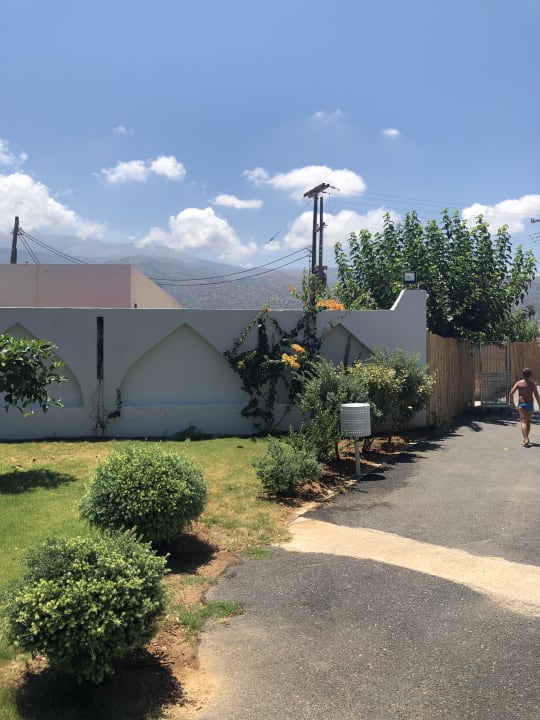 Gartenanlage allsun Hotel Carolina Mare