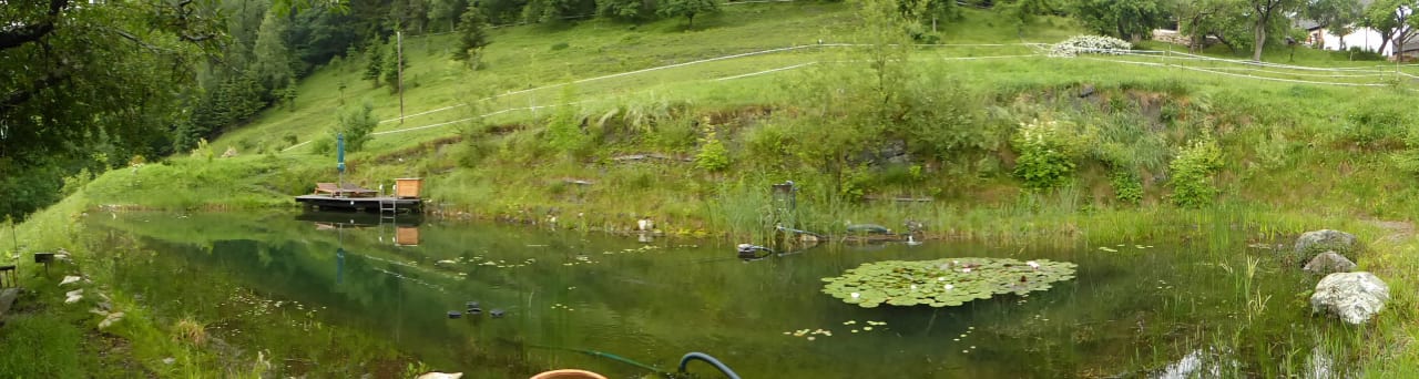 Schwimmteich LUXGUT - OLIVIA