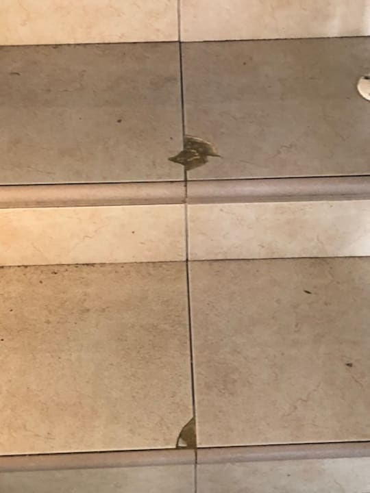 Zimmer Bahia Principe Luxury Esmeralda