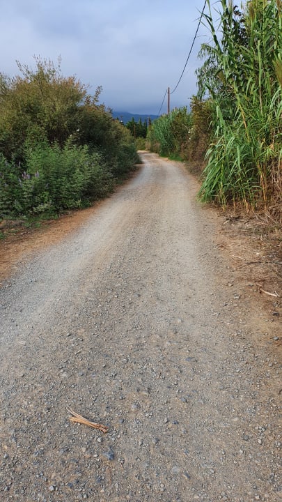 Sonstiges Sandy Villas Resort