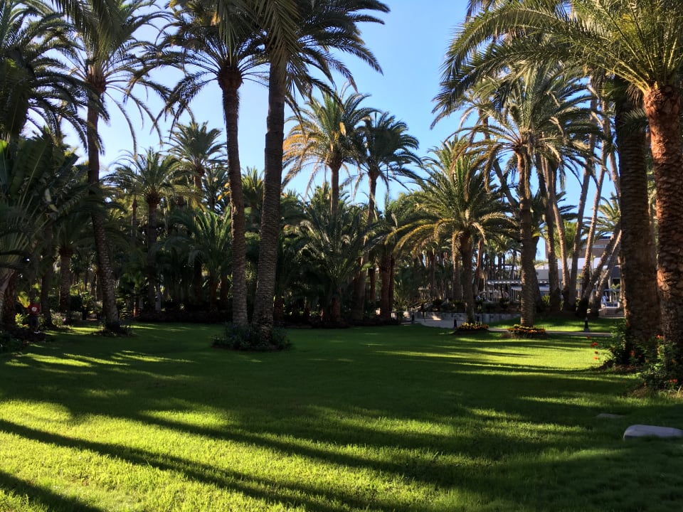 Gartenanlage Hotel Riu Palace Oasis