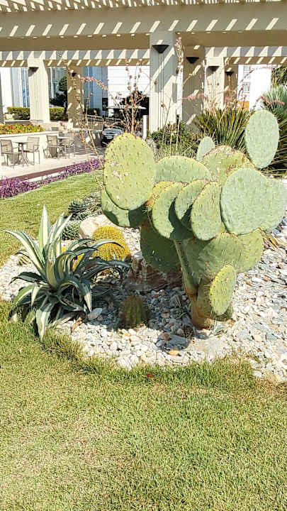 Gartenanlage Monachus Family Resort Sorgun