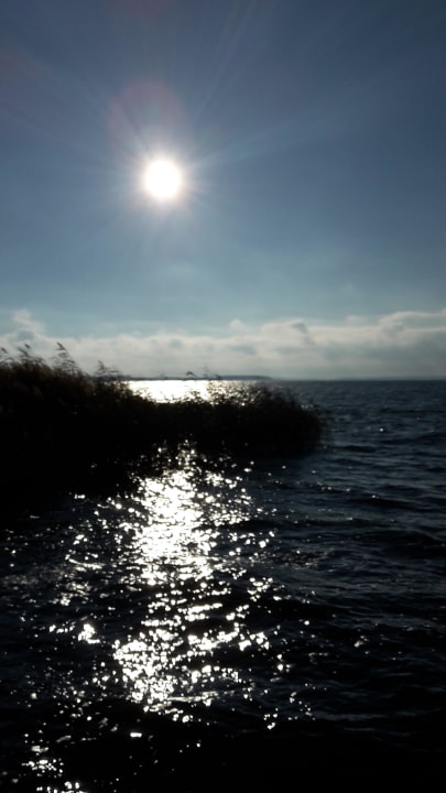 Ausblick aufs Wasser  Ferienresort Möwenort