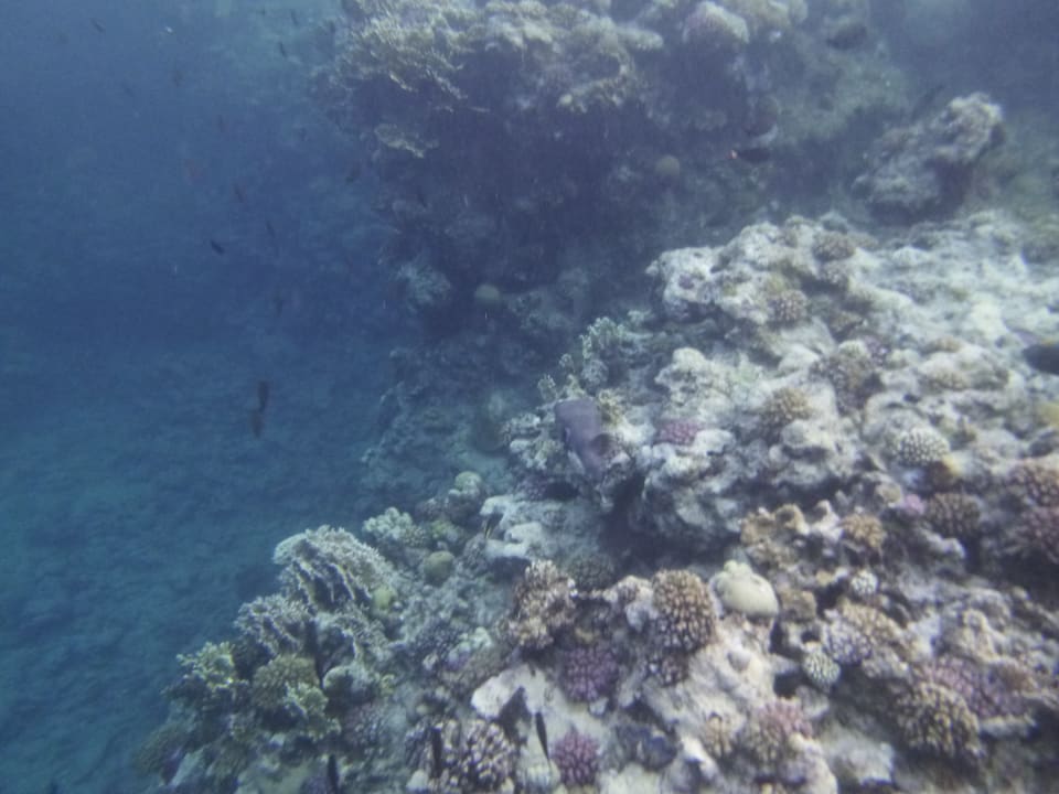 Sport & Freizeit Three Corners Sea Beach Resort