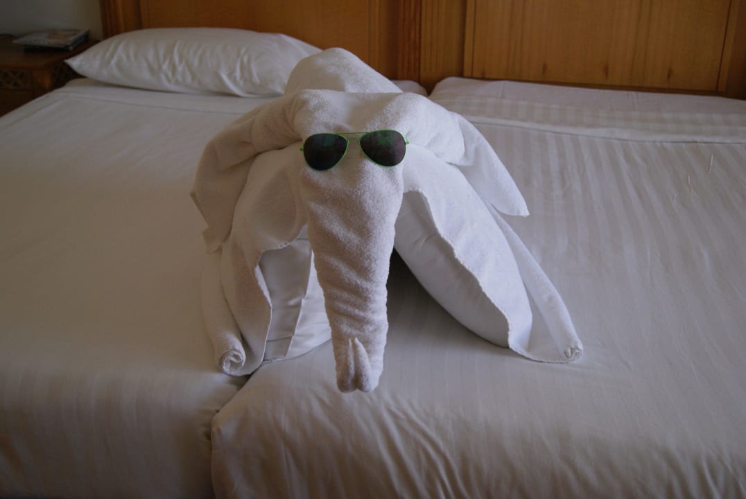 Слон Old Palace Resort Sahl Hasheesh