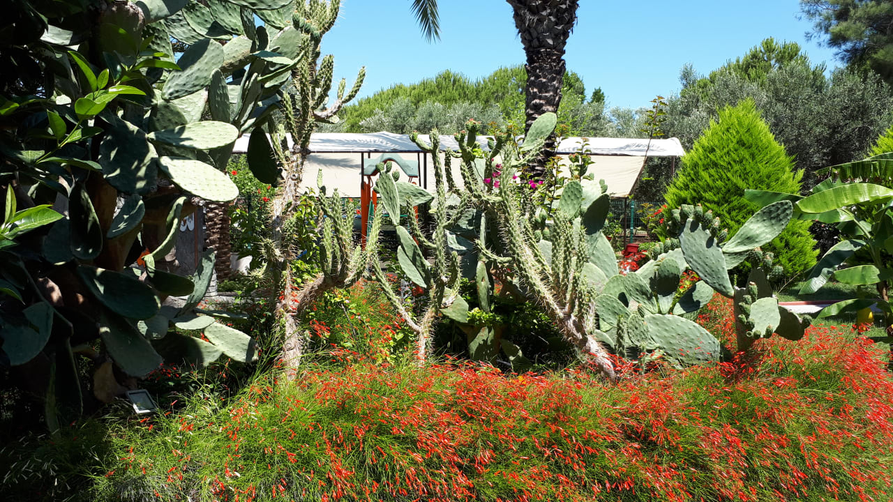 Gartenanlage Side Sun Hotel