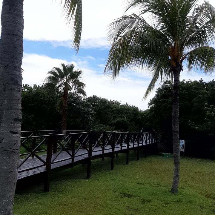 Gartenanlage Iberostar Selection Varadero