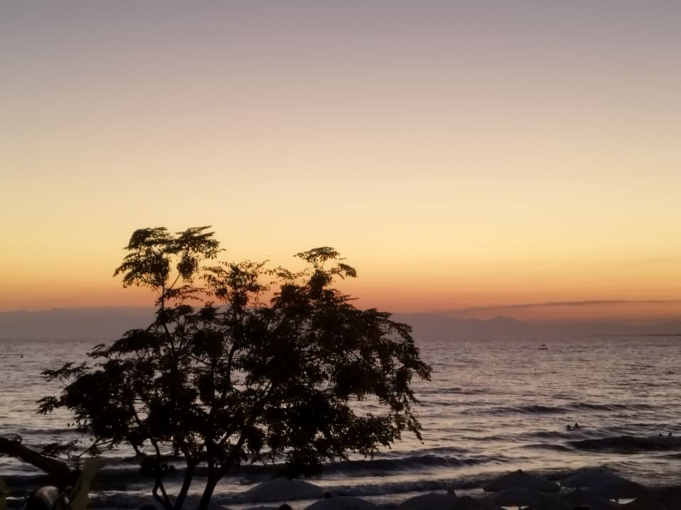 Ausblick Clover Magic Nova Beach
