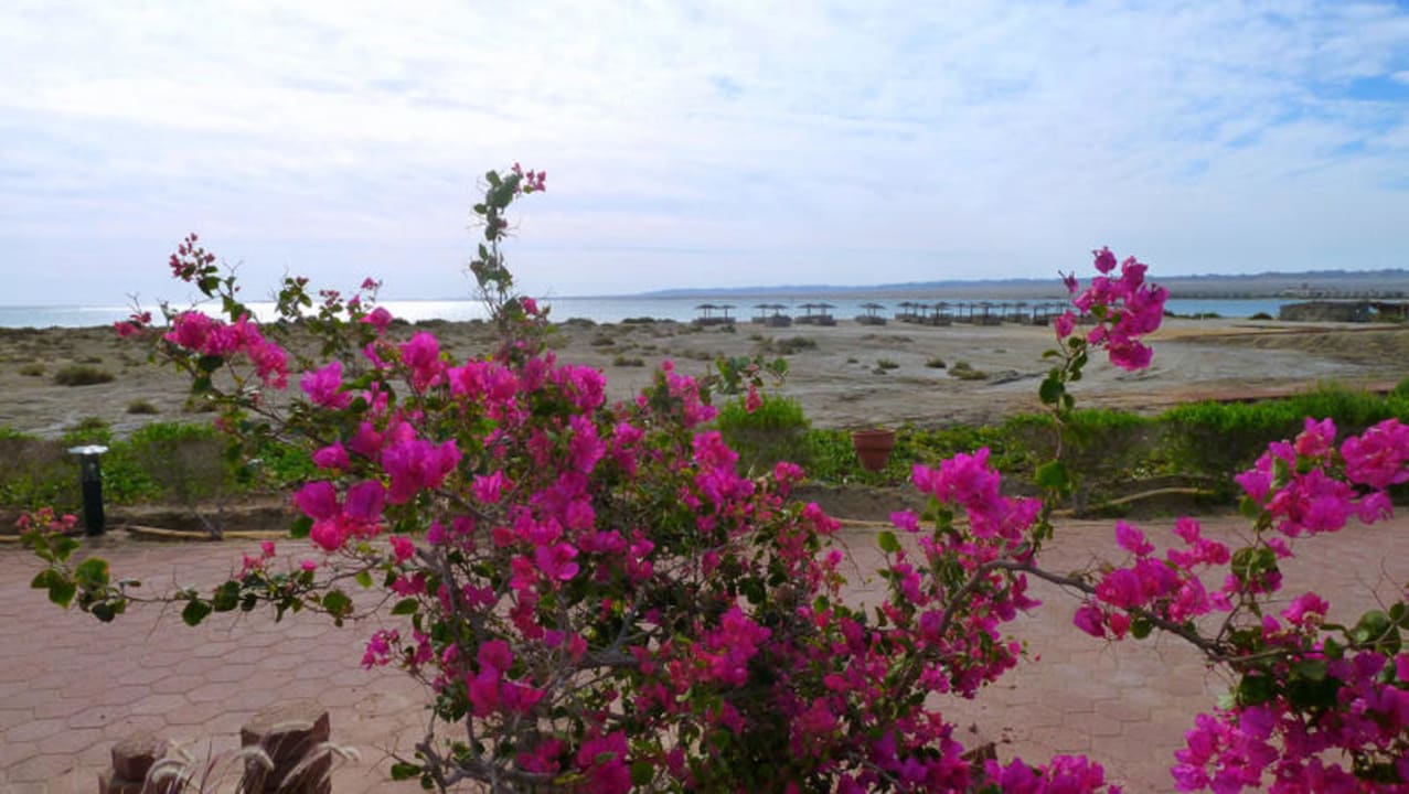 Blick auf den Mittelstrand Lahami Bay Beach Resort