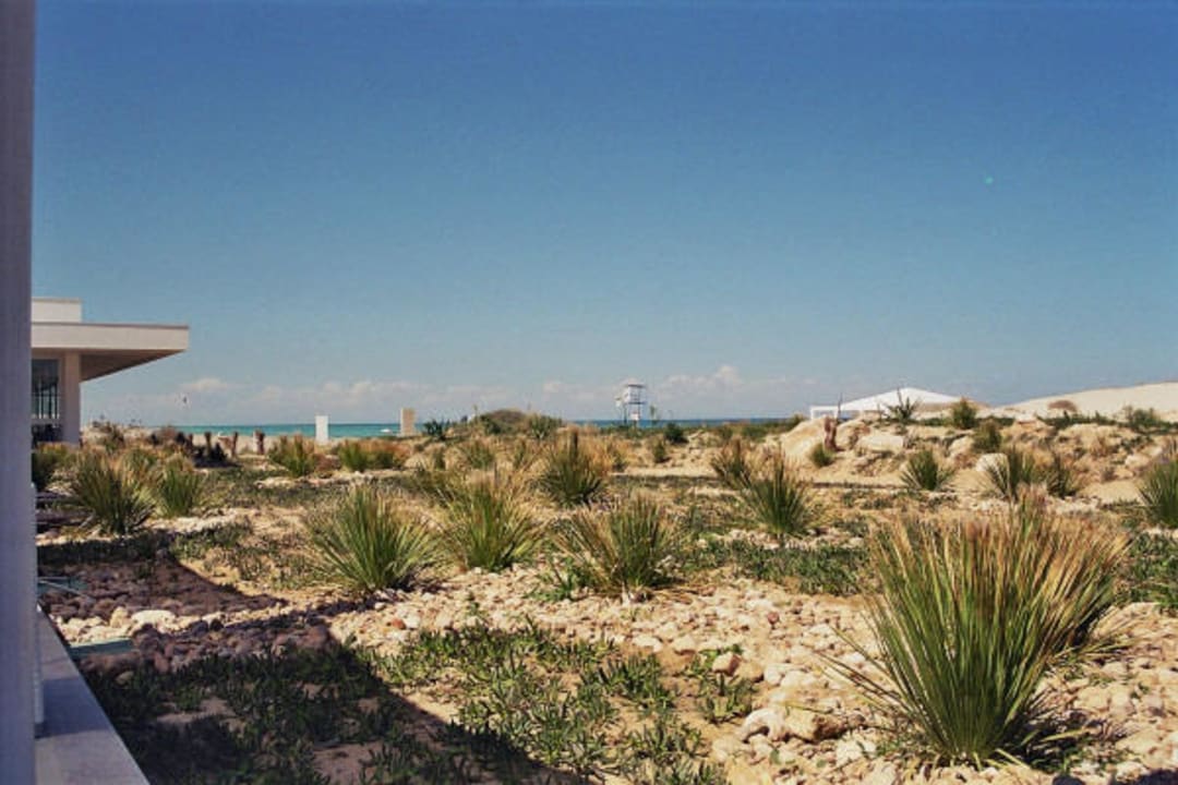 Ausblick vom Turquoise Richtung Strand / Beach Radisson Blu Palace Resort & Thalasso Djerba