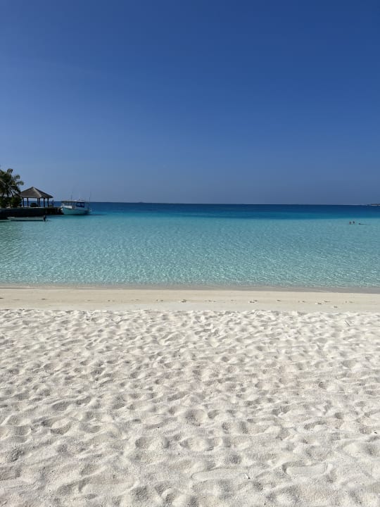 Strand Velassaru Maldives