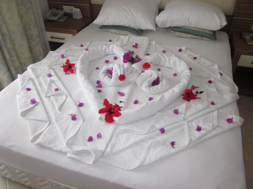 Zimmersevice Blue Diamond Alya