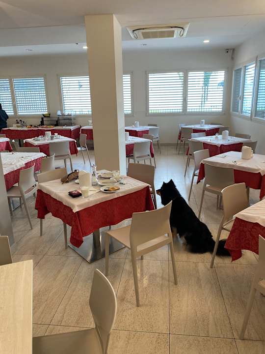 Gastro Hotel Airmotel