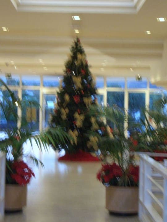 Weihnachtsbaum Hotel Riu Paraiso Lanzarote
