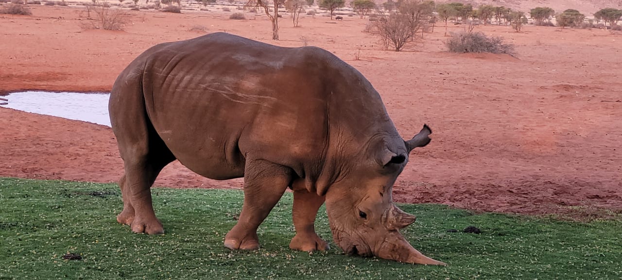 Sport & Freizeit We Kebi Safari Camp