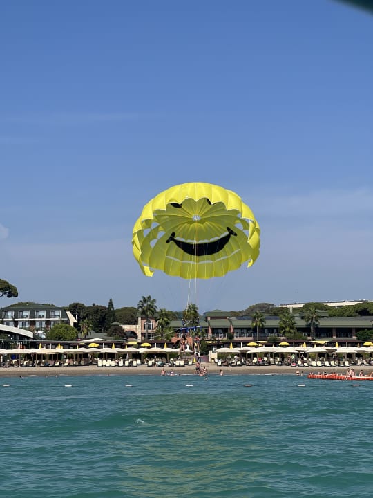 Sport & Freizeit Papillon Ayscha