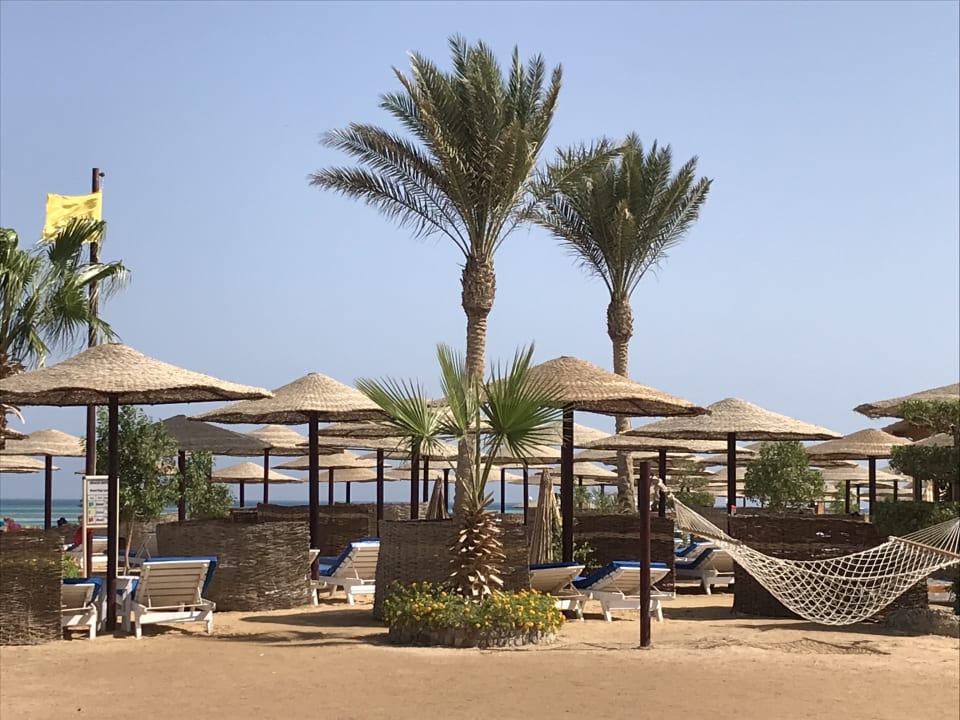 Strand Sea Star Beau Rivage