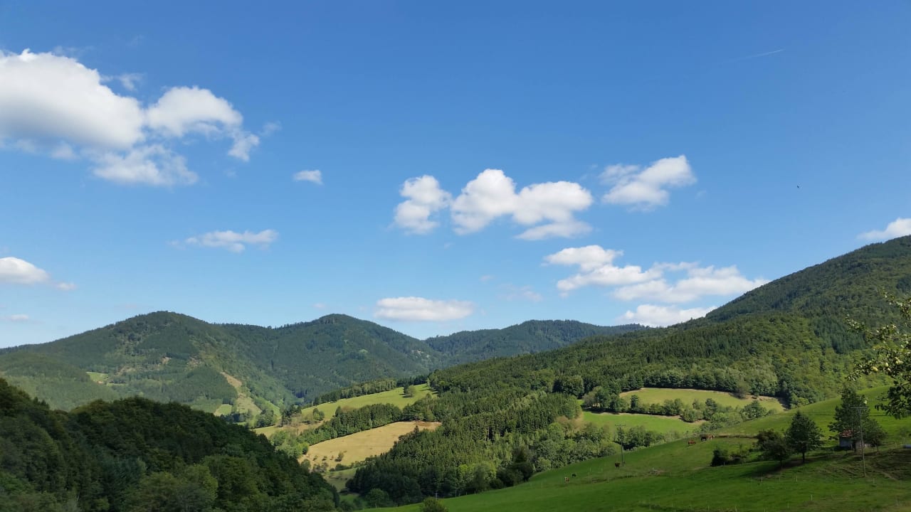 Bei diesem Ausblick kann man sich nur erholen Bauernhof Bernhardenhof