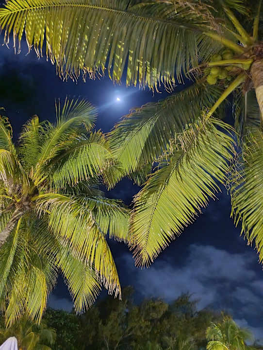 Außenansicht Le Peninsula Bay Beach Resort & Spa