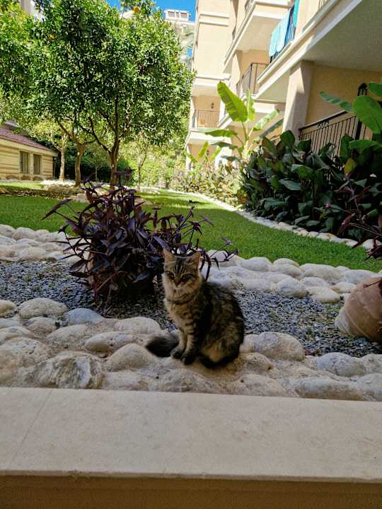 Gartenanlage Hotel Turan Prince