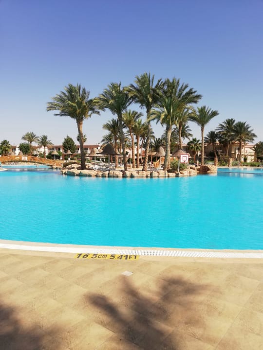 Pool Parrotel Beach Resort