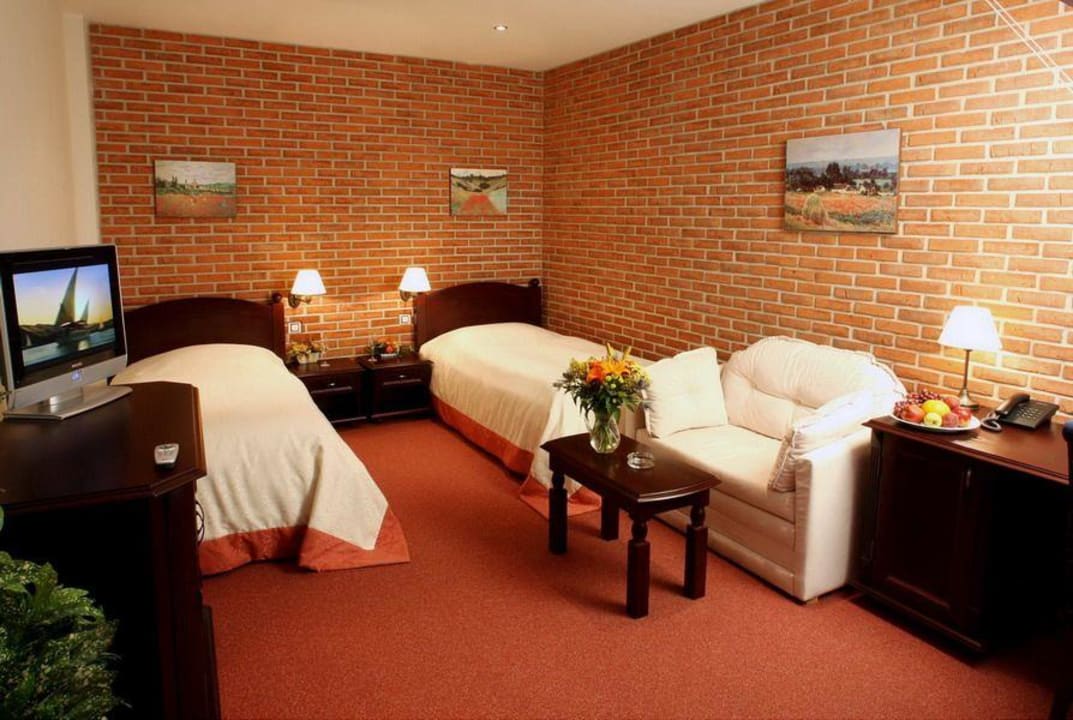 Room Hotel Purkmistr