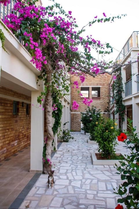 Hotelhäuser von außen Bella Beach Hotel