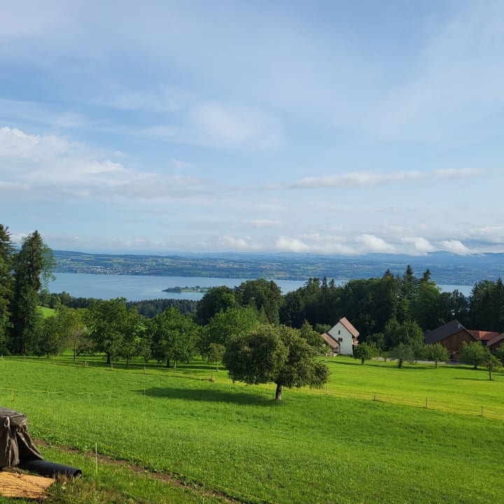 Ausblick Ferienwohnung Kalin-Friedlos