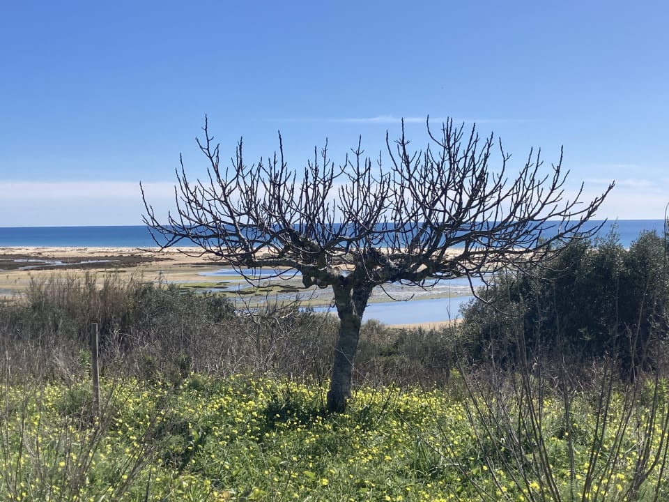 Ausblick ROBINSON QUINTA DA RIA
