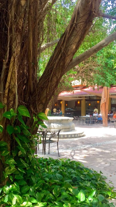 Restaurant außen Viva Azteca by Wyndham - All Inclusive Resort