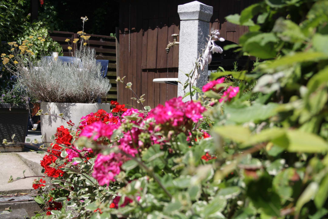 Gartenanlage Hotel Ehranger Hof