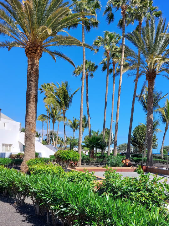 Gartenanlage Hotel Riu Paraiso Lanzarote