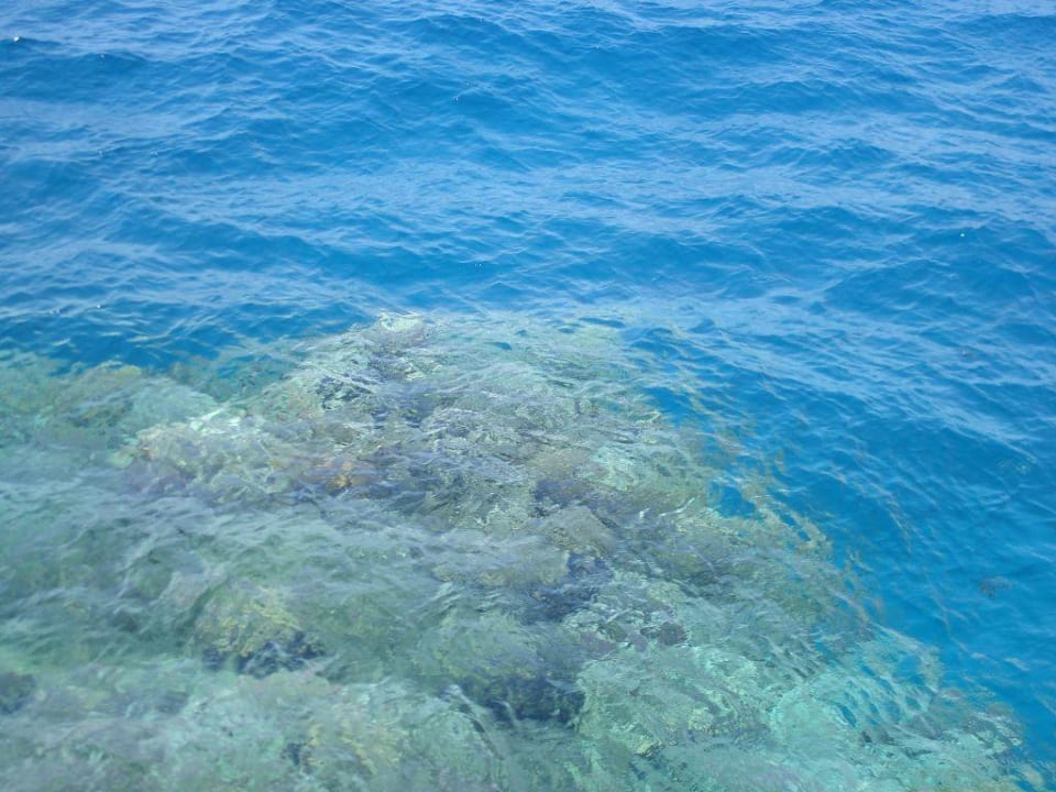 Holiday Beach Resort Three Corners Sea Beach Resort