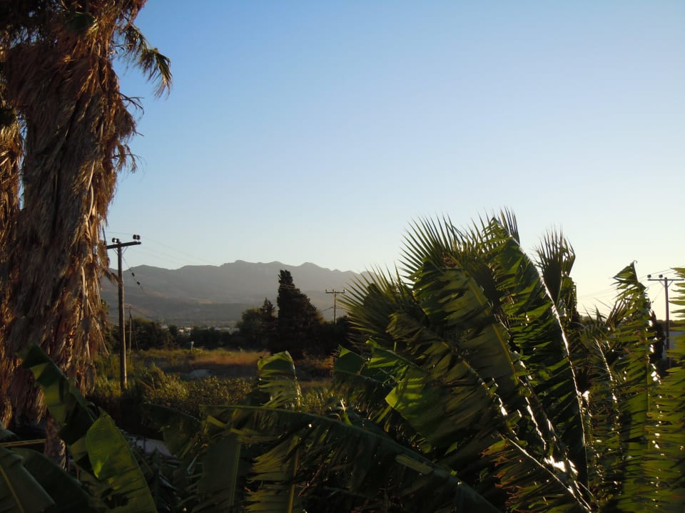 Blick vom Balkon Diamond Boutique Hotel