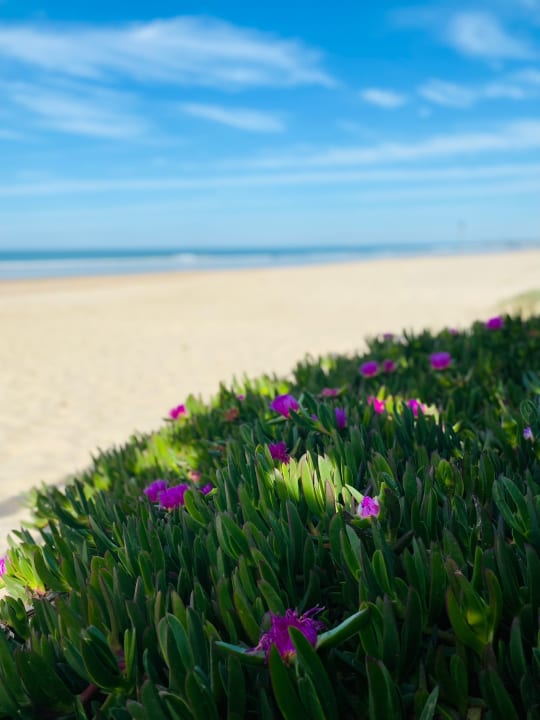 Strand Aldiana Club Andalusien