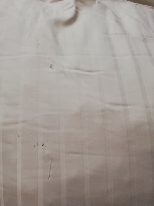 Zimmer Hotel Rotterdam