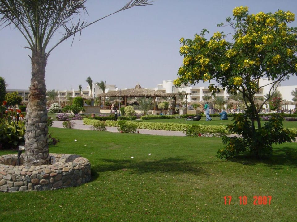Poolbar Hurghada Long Beach Resort