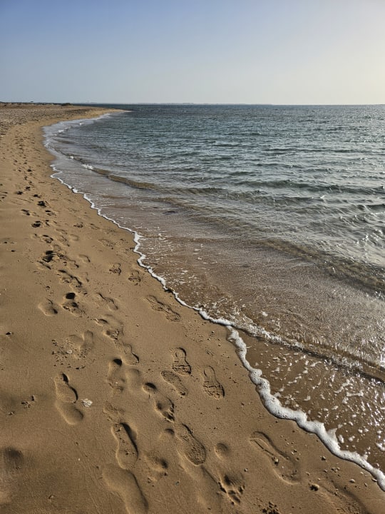 Zimmer Shams Prestige Abu Soma-Adults Only