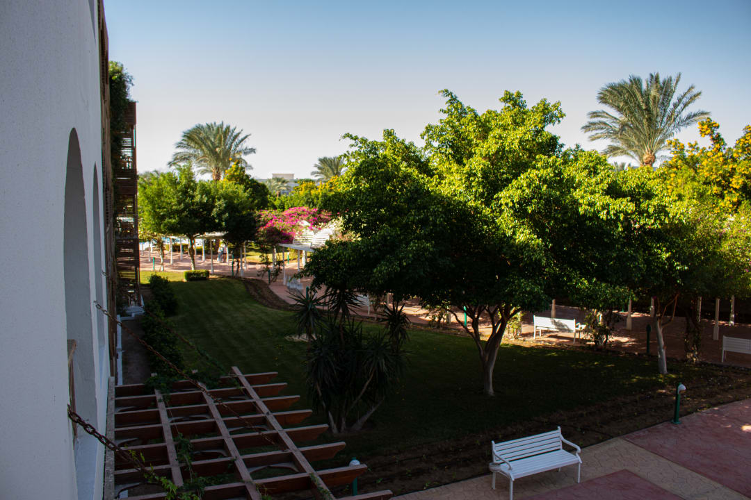 Gartenanlage Desert Rose
