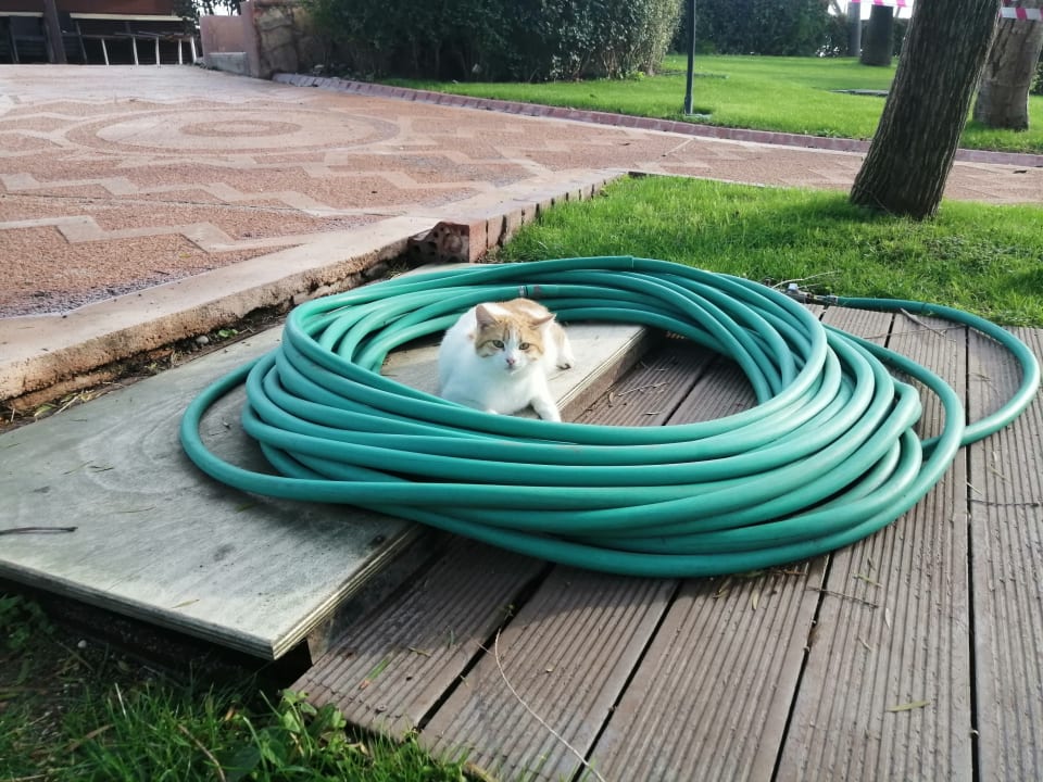 Pool Limak Limra Hotel & Resort