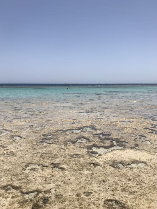 Strand Gravity Hotel & Aquapark Sahl Hasheesh