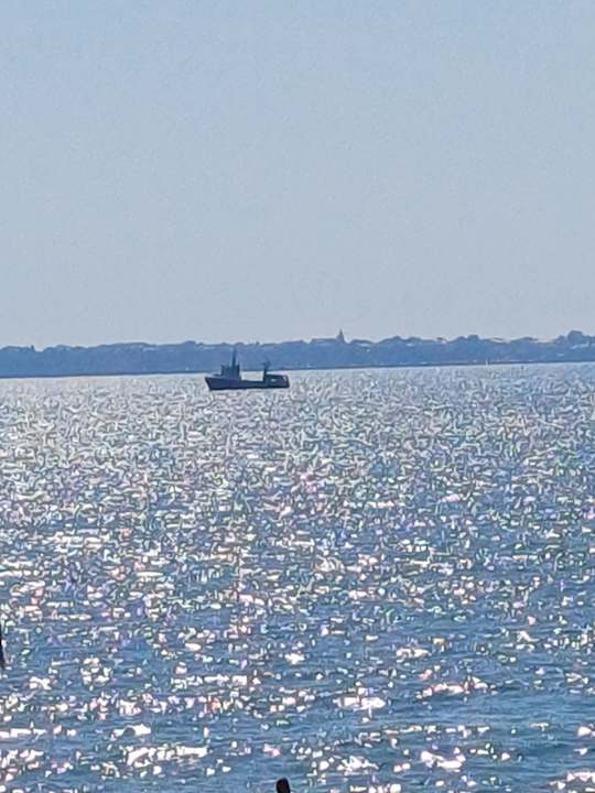 Außenansicht Secrets Sunny Beach Resort & Spa