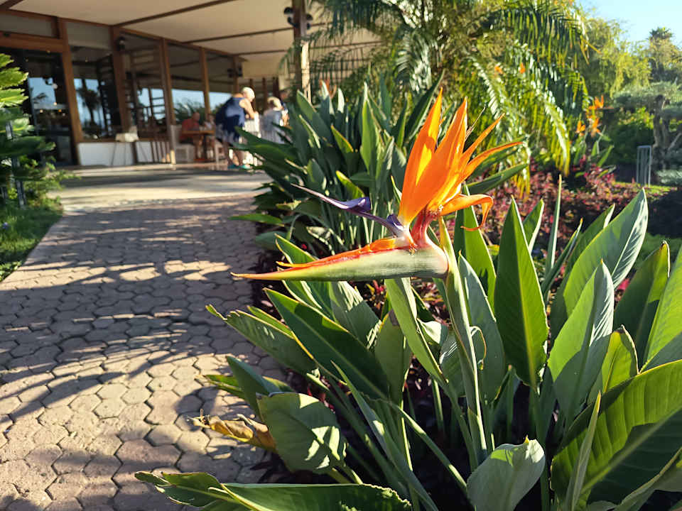 Außenansicht Club Tuana Fethiye