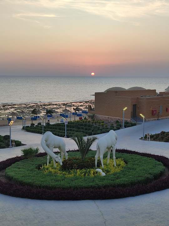 Ausblick Pickalbatros Vita Resort - Portofino Marsa Alam