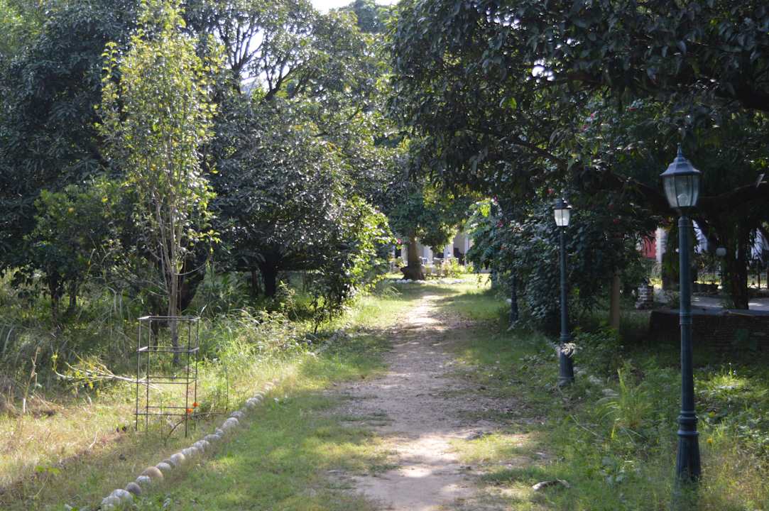 Gartenanlage Hotel Judge's Court