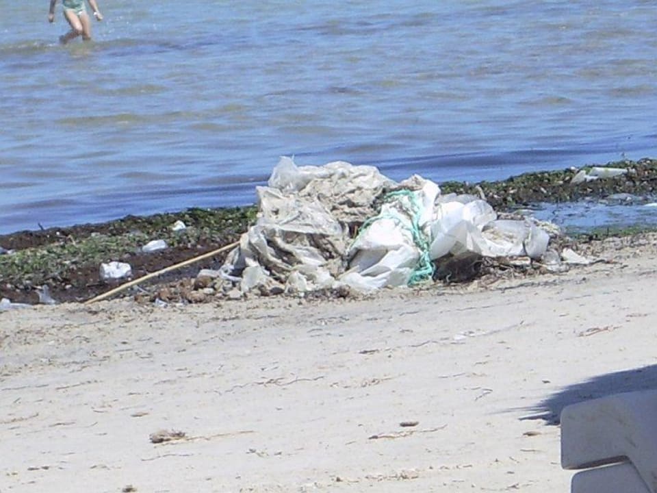 Müll Hotel Rosa Beach