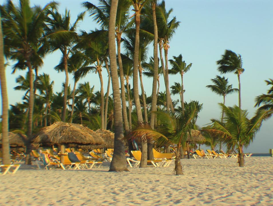 Strand bei Sonnenafgang Catalonia Punta Cana - All Inclusive