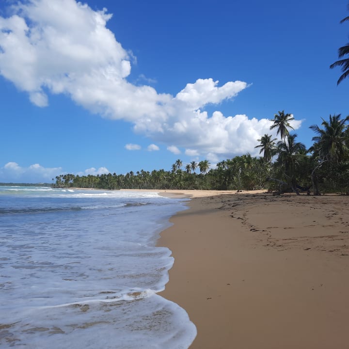Strand Viva V Samana by Wyndham – Adults Only