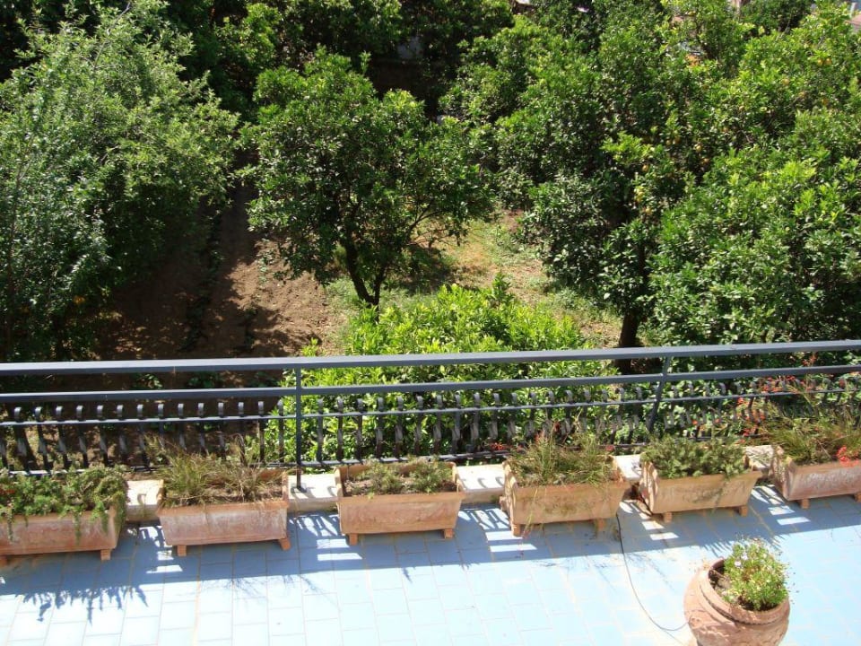 Blick zum Nachbargarten Hotel Alpha