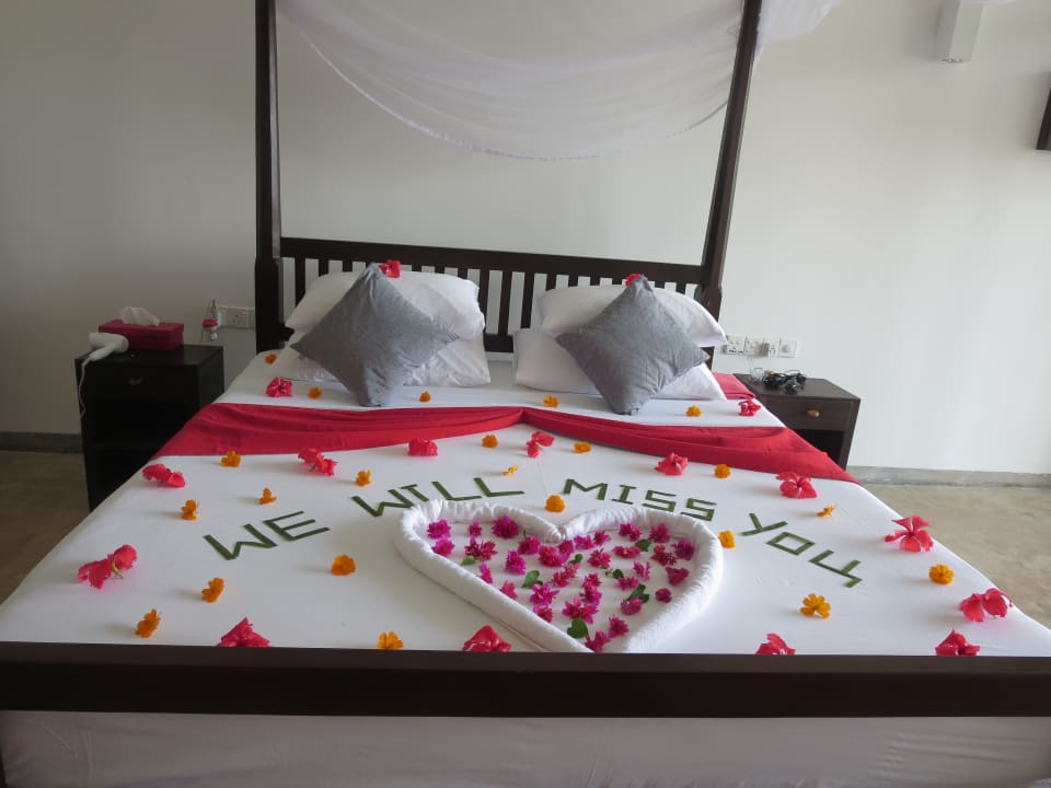 Zimmer ANANDA Ayurveda Resort